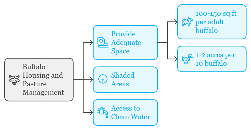 Understanding Buffalo Behavior and Needs