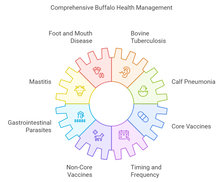 Common Diseases Affecting Jerangi Buffalo and Treatment Options