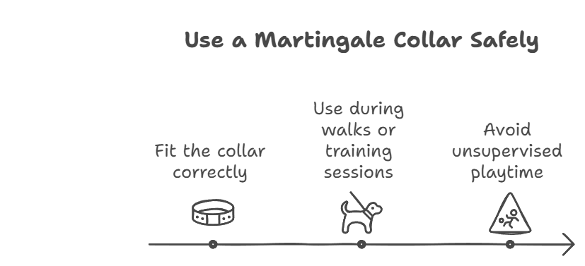 How to Use a Martingale Collar Safely