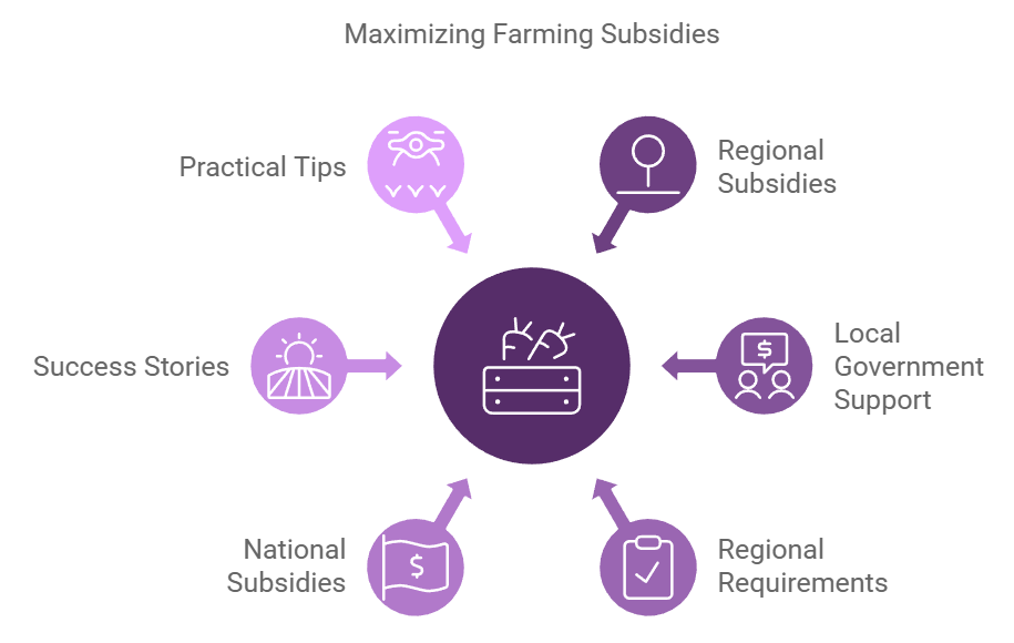 Regional and Local Subsidy Programs